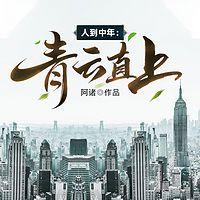 人到中年：青云直上