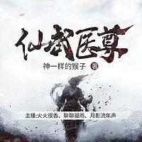 仙武医尊有声小说